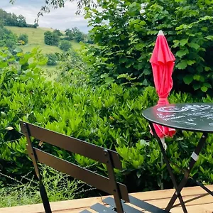 Pilat - T2 Renove Dans Des Anciennes Ecuries Appartement Saint-Galmier